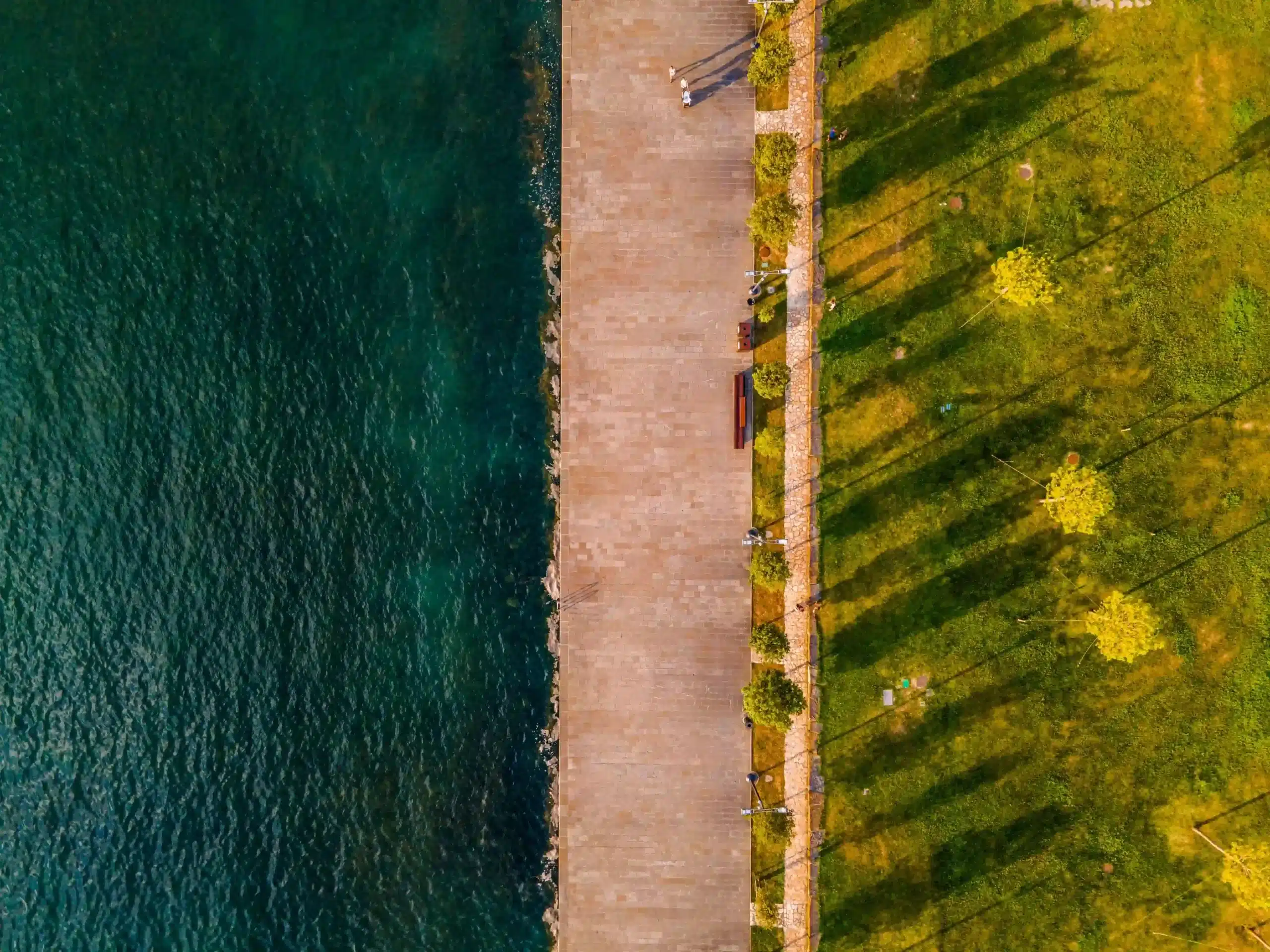 dock-grassy-sunny-water